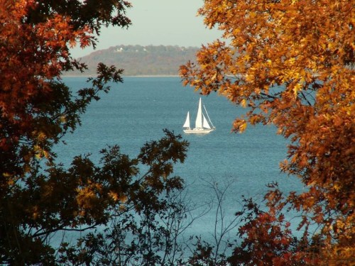 A sailboat glides across a calm lake, framed by vibrant autumn foliage.