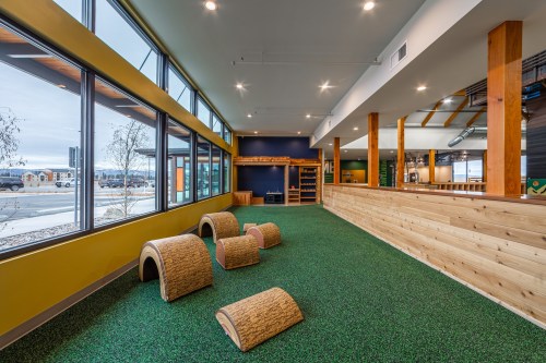 A spacious indoor area with green turf, wooden beams, and playful structures for pets, featuring large windows and natural light.