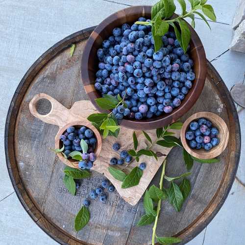 A wooden bowl and small dishes filled with fresh blueberries, surrounded by green leaves on a wooden surface.