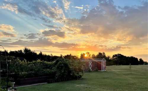 A vibrant sunset over a grassy field, with a red barn and lush greenery in the foreground.