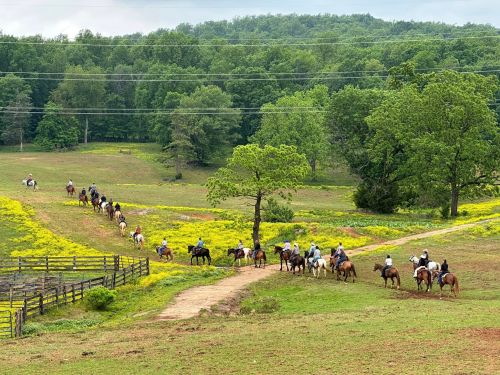 A group of horseback riders trails along a path through a green landscape with trees and wildflowers.