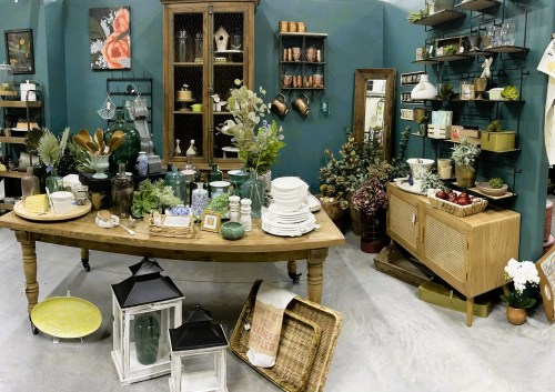 A cozy home decor shop featuring a wooden table, plants, dishes, and various decorative items on shelves and walls.