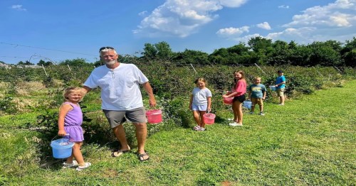 A group of children and an adult pick berries in a sunny field, each holding a bucket. Green trees and blue sky in the background.