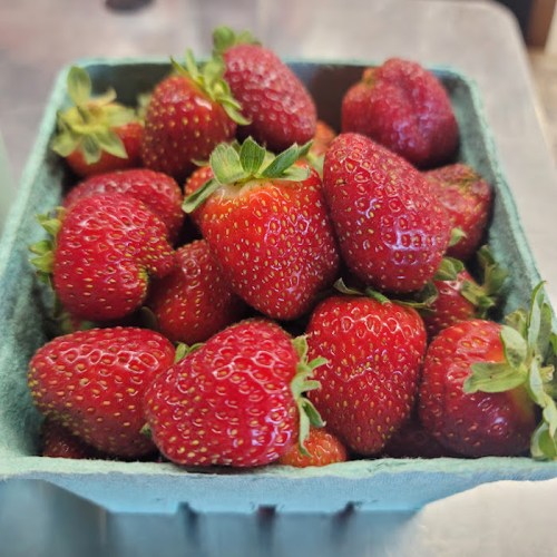 A close-up of a green container filled with fresh, ripe strawberries.