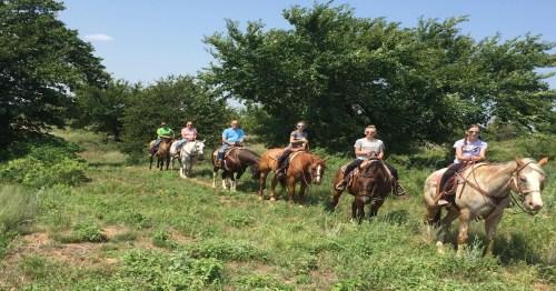 A group of six people riding horses along a grassy path, surrounded by trees and blue sky.