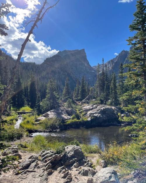 A serene mountain landscape with a clear stream, lush greenery, and towering peaks under a bright blue sky.