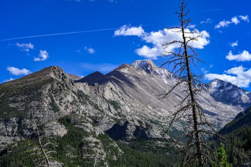 A scenic view of rugged mountains under a blue sky with scattered clouds, featuring a bare tree in the foreground.