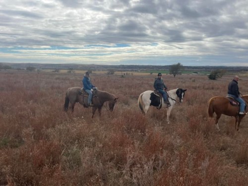 Three riders on horseback in a grassy field under a cloudy sky, with rolling hills in the background.
