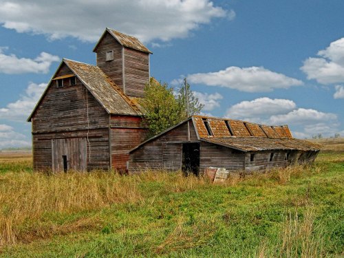 An old, weathered barn with a tower, surrounded by tall grass and under a blue sky with fluffy clouds.