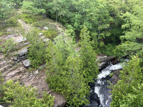 A lush green landscape with a flowing creek surrounded by trees and rocky terrain.