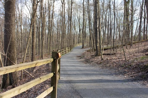 A winding path through a wooded area, bordered by a wooden fence and bare trees in early spring.