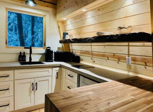 Cozy kitchen with wooden walls, a window showing snowy trees, and modern appliances on a rustic countertop.