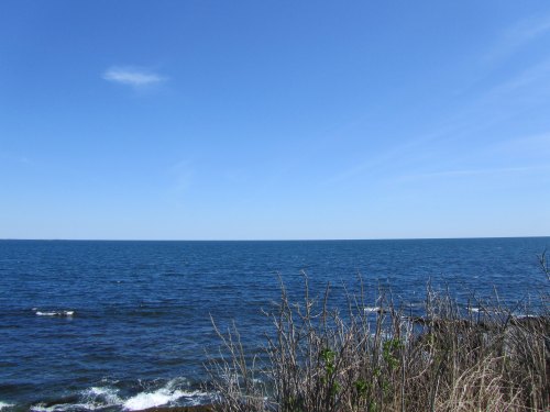 A clear blue sky above a calm ocean, with sparse vegetation in the foreground and gentle waves lapping at the shore.
