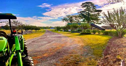 A green tractor parked on a gravel path leading through a scenic farm with trees and a blue sky.