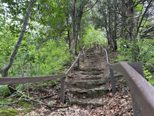 A winding stone staircase surrounded by lush greenery and trees, with a metal railing on one side.