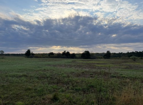 A serene landscape featuring a grassy field under a cloudy sky with distant trees and a hint of sunlight.