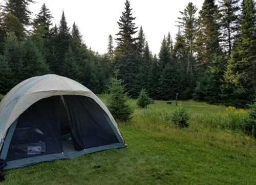 A tent set up in a grassy area surrounded by tall trees and a peaceful forest backdrop.