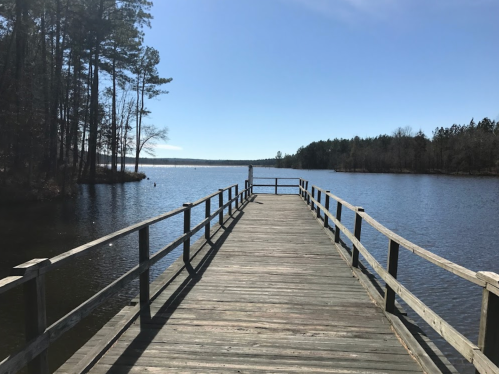 A wooden dock extends into a calm lake, surrounded by trees under a clear blue sky.
