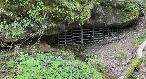 A rocky cave entrance covered in moss, with a wooden grate and surrounded by greenery and a small stream.