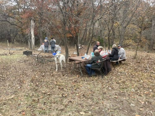 A group of people gathered around tables in a wooded area, with a dog nearby and autumn leaves on the ground.