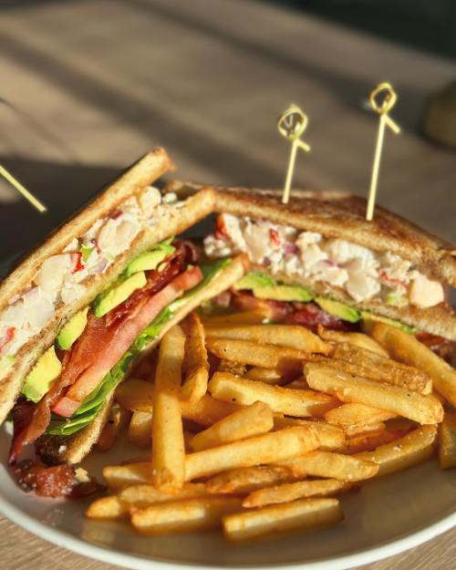 A toasted sandwich filled with chicken, avocado, and bacon, served with a side of golden French fries.
