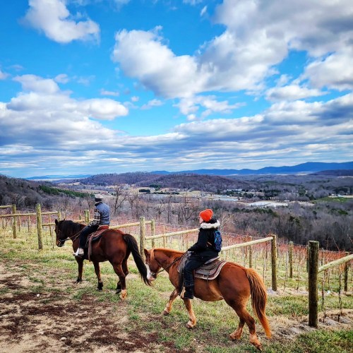 Two riders on horseback overlook a scenic valley with rolling hills and a cloudy blue sky.
