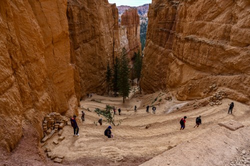 A winding trail through a canyon with hikers navigating the sandy path surrounded by towering rock formations.