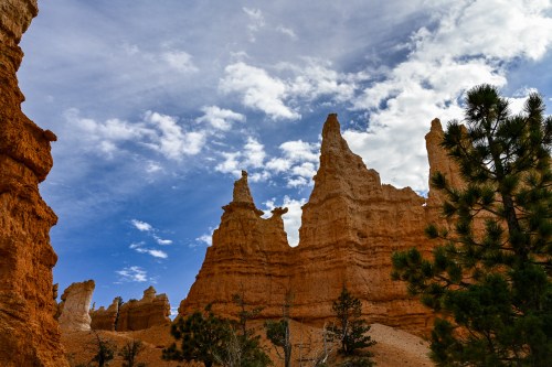 Rock formations rise against a blue sky with clouds, surrounded by pine trees in a desert landscape.