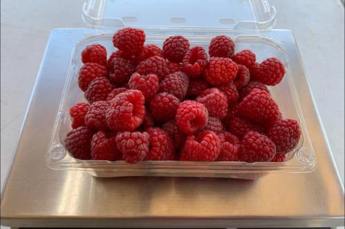 A clear container filled with fresh, vibrant red raspberries on a silver scale.