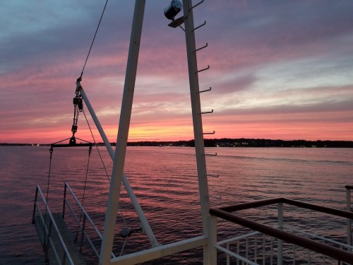 A serene sunset over calm waters, with vibrant pink and orange hues reflecting on the surface.