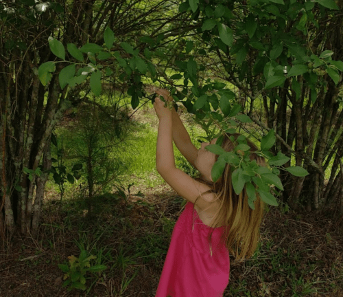 A young girl in a pink dress reaches up to touch green leaves on a bush in a lush, green outdoor setting.
