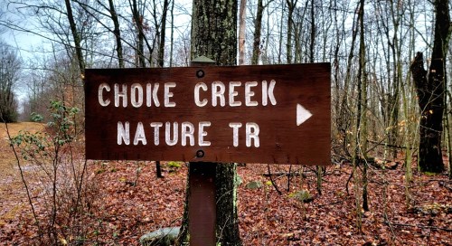 Wooden sign pointing right towards "Choke Creek Nature Trail" in a wooded area with wet ground and bare trees.