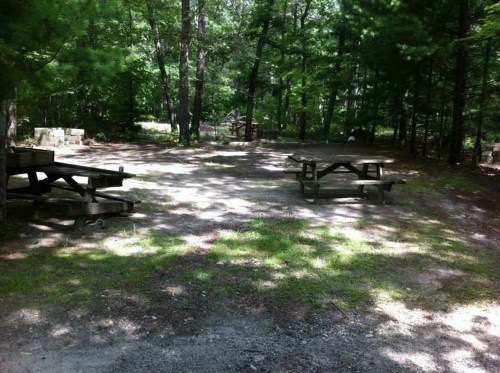 A shaded picnic area with wooden tables surrounded by trees and gravel paths.