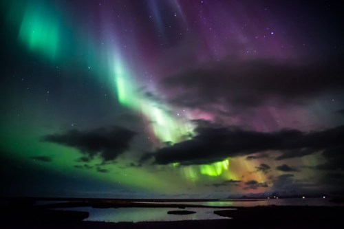 A stunning display of the Northern Lights illuminates the night sky with vibrant greens and purples over a calm landscape.
