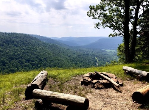 A scenic view of a lush green valley from a campsite, featuring logs and a fire pit in the foreground.