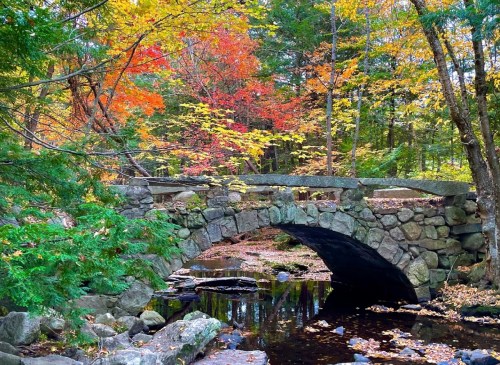 A stone bridge arches over a calm stream, surrounded by vibrant autumn foliage in a serene forest setting.