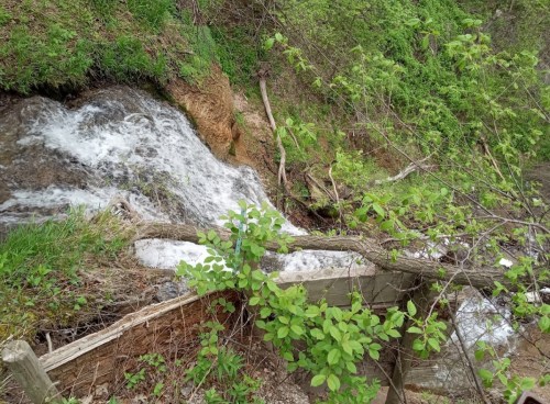 A small stream flows over rocks, surrounded by lush green foliage and trees in a natural setting.