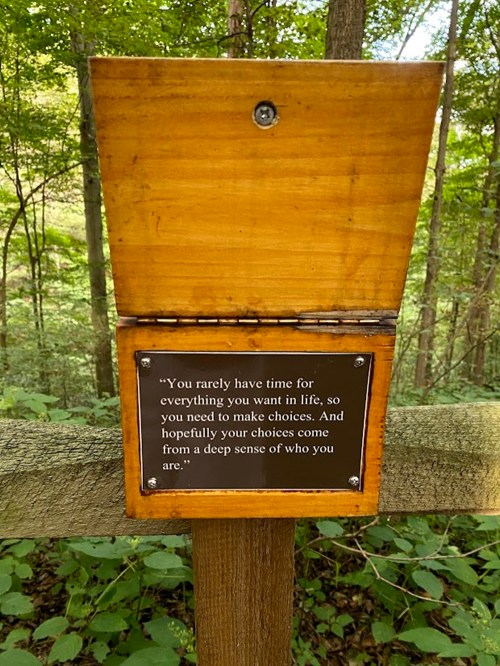 A wooden sign in a forest with a quote about making choices and understanding oneself.