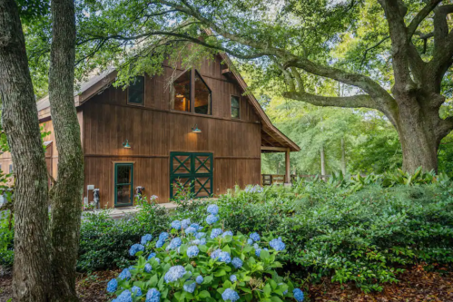 A rustic wooden barn surrounded by lush greenery and blooming blue hydrangeas under a sunny sky.