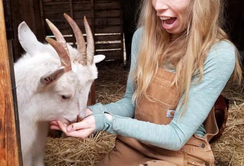 A girl in overalls excitedly feeds a white goat in a barn filled with straw.