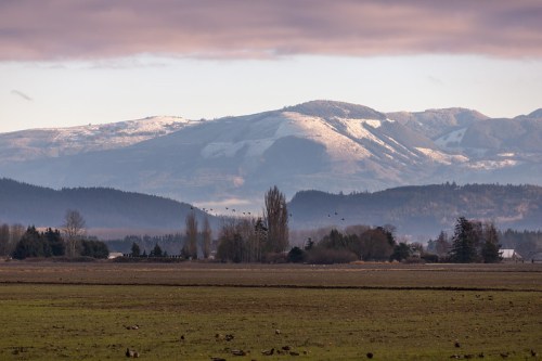 A scenic landscape featuring snow-capped mountains, a flat field, and scattered trees under a cloudy sky.