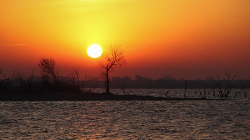 A serene sunset over a calm body of water, with silhouettes of trees against a vibrant orange sky.