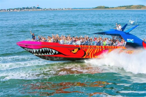 A colorful speedboat with a shark design speeds through the water, filled with excited passengers waving.