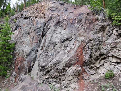 Rocky cliffside with various textures and colors, surrounded by green trees in a natural setting.