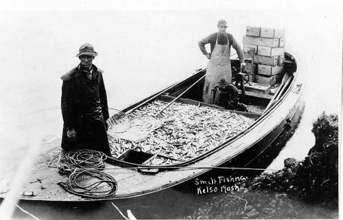 Two fishermen on a boat filled with fish, surrounded by boxes, in a black-and-white historical photo.