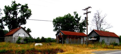 Abandoned buildings with rusted roofs, surrounded by overgrown grass and trees, under a cloudy sky.