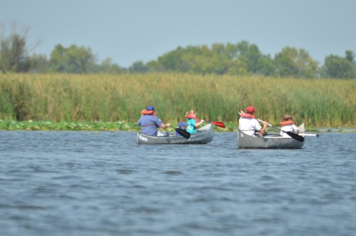 Two canoes with people paddling on a calm river, surrounded by lush green vegetation and a clear blue sky.