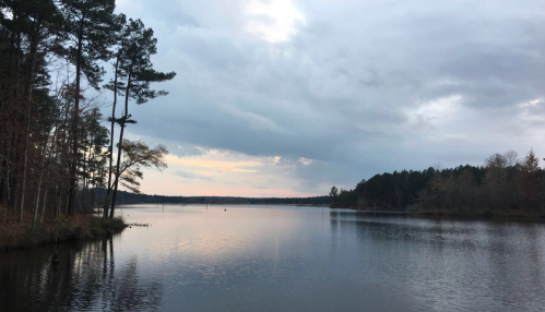 A serene lake surrounded by trees under a cloudy sky, reflecting the soft colors of dusk.