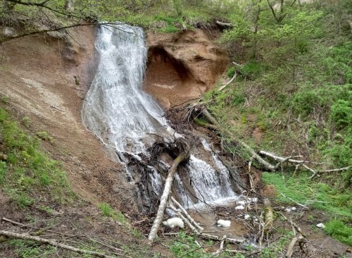A small waterfall cascading down a rocky slope, surrounded by lush greenery and fallen branches.