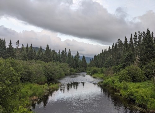 A serene river flows through lush greenery, surrounded by tall trees and a cloudy sky in the background.